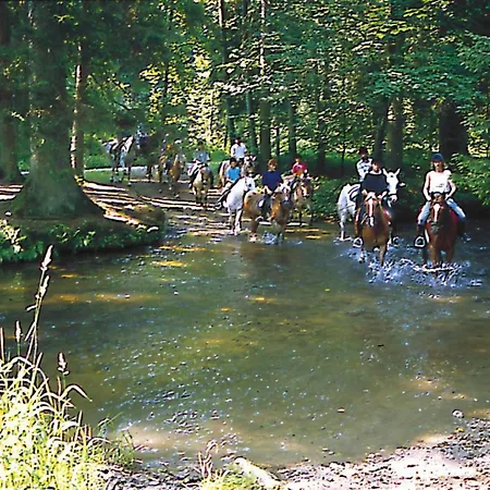 Hébergement de vacances Holiday Homes Im Waldferiendorf - Dmg04101e-lyg